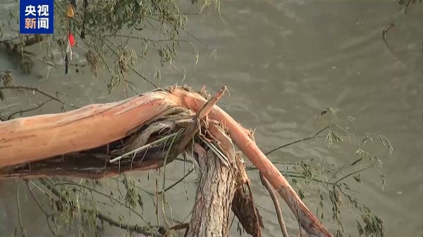 配资114平台登录入口 美国得州洪灾仍有超170人下落不明 暴雨再袭致搜救暂停