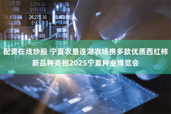 配资在线炒股 宁夏农垦连湖农场携多款优质西红柿新品种亮相2025宁夏种业博览会