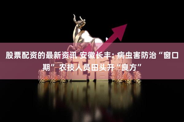 股票配资的最新资讯 安徽长丰: 病虫害防治“窗口期” 农技人员田头开“良方”
